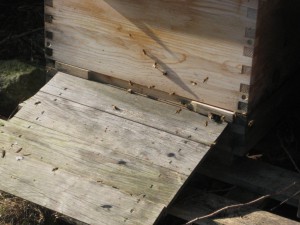 IMG_0080