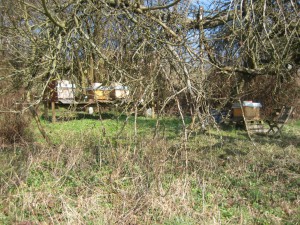 IMG_0138