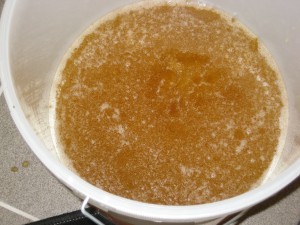 IMG_0251