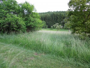 IMG_0013