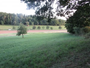 IMG_0248