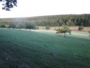 IMG_0249